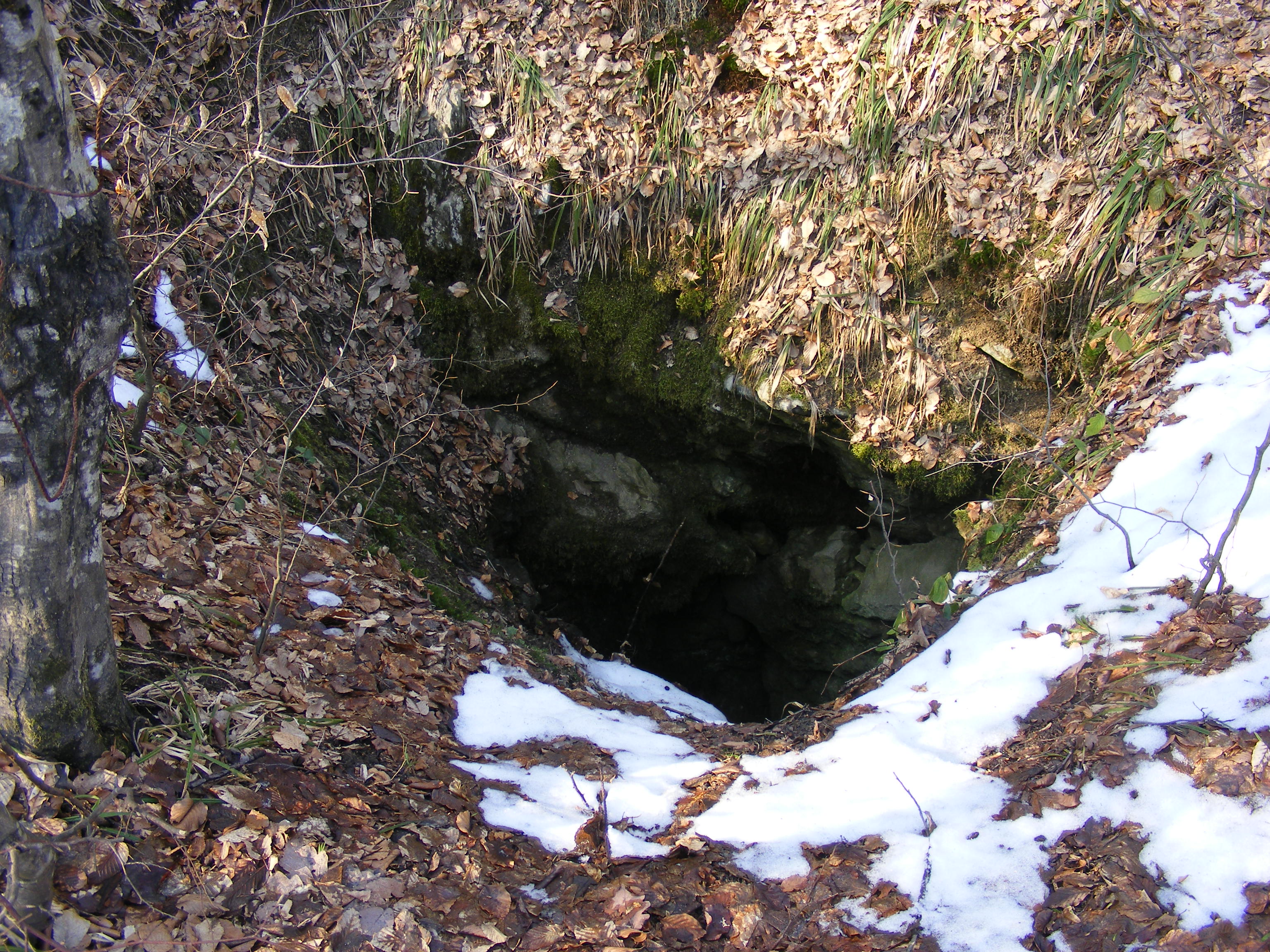 Avenul Izoiul Mic - Image 1